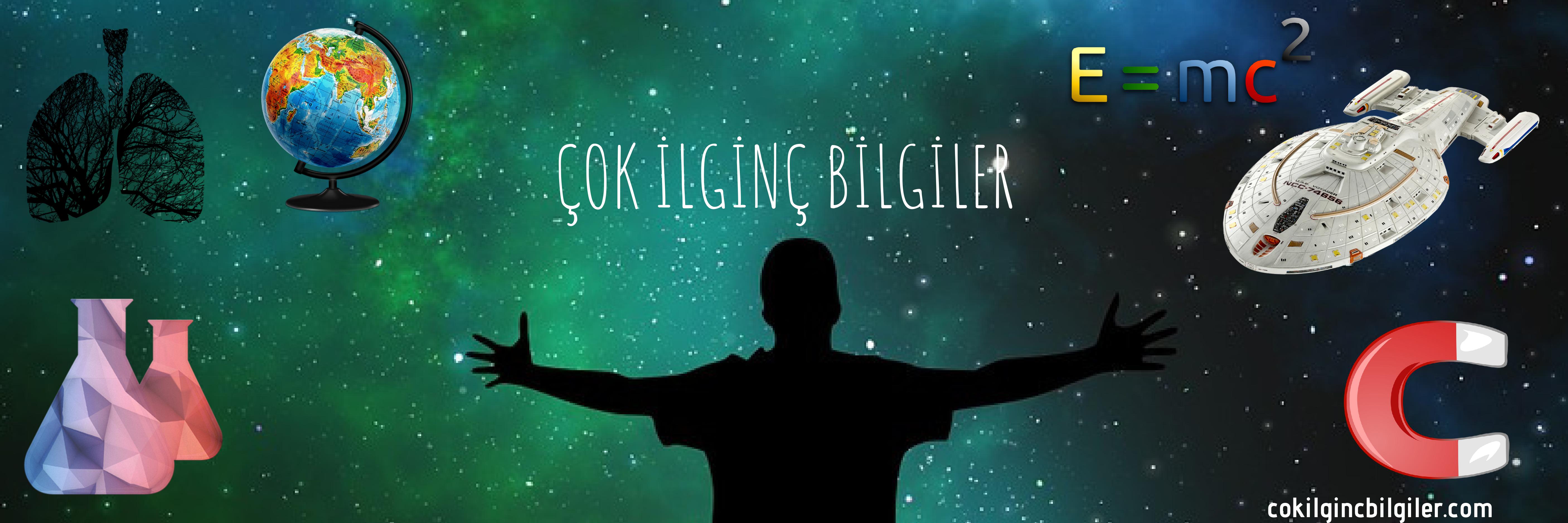  çok ilginç bilgiler