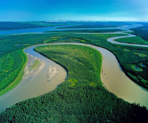 dünyanın en geniş nehri amazon 